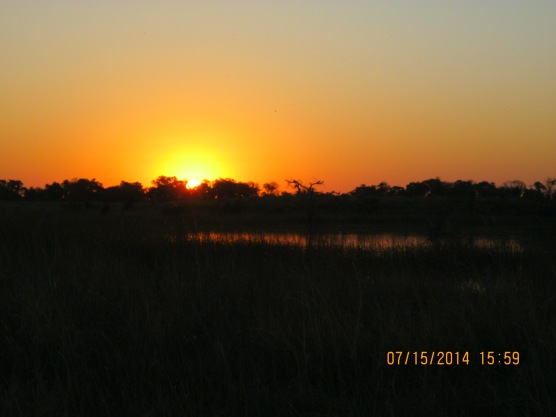 Sunset in the Okavanga Delta