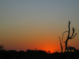 Sunset in the Okavanga Delta